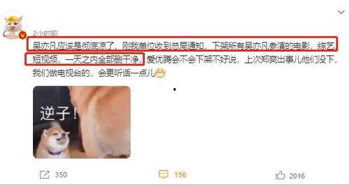 文轩圈内人爆料文字,文轩内部爆料大起底  第2张