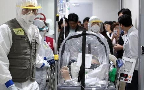 韩国疫情最新爆料,揭秘最新爆发点和防控措施 第1张 韩国疫情最新爆料,揭秘最新爆发点和防控措施 第1张